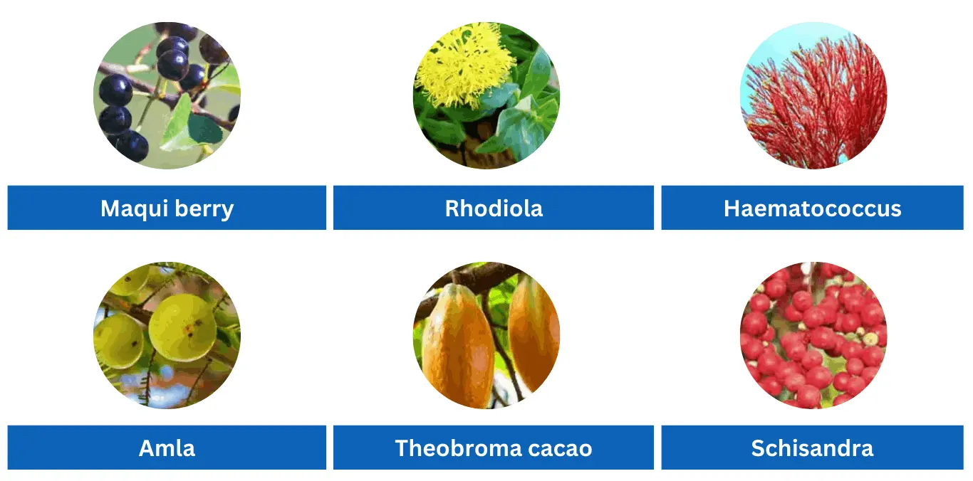 Mitolyn Ingredient 